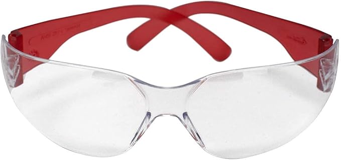 BISON LIFE Protective Safety Glasses, Clear Polycarbonate Impact and Ballistic Resistant Lens, RED (Case of 12 Boxes, 144 Pairs Total)