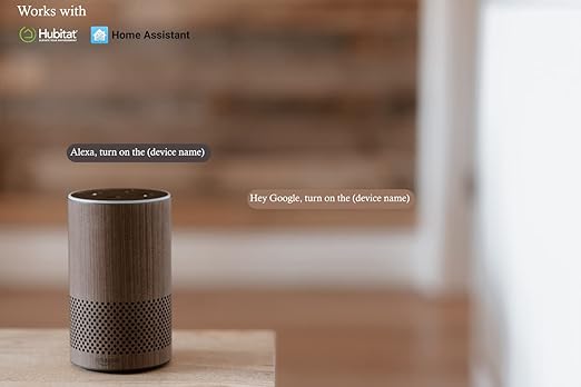 Zigbee Touch Smart Wall Outlet, Compatible with Alexa, Google Home, Hubitat, and HA