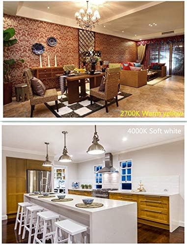 LED Edison Bulb 4W,Antique 40W Vintage Edison Bulb,E26 Light Bulb Non Dimmable Led Bulb 450 Lumens 2700K Warm White,Pack of 6