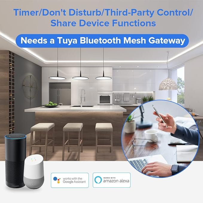 BTF-LIGHTING 5in1 LM053 Tuya Bluetooth Mesh Controller SmartLife TuyaSmart APP Control for Dimming CCT RGB RGBW RGBCCT LED Work with WR01RF WR02RF RC02RFB RC03RFB etc RF Remote DC12V DC24V Max 15A