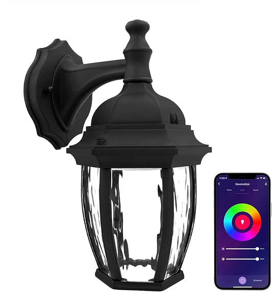 Maxxima Luvoni Smart WiFi LED Outdoor Wall Light, Black w/Clear Water Glass, App Controlled Porch Lantern, 850 Lumens, CCT 2700K - 6500K, Dimmable, Works with Google Home/Alexa