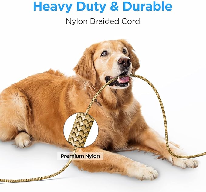 etguuds USB to USB C Cable 3.3ft, 2-Pack USB A to Type C Charger Cord Fast Charging for Samsung Galaxy A15 A25 A35 A55 A54, S24 S23 S22 S21 S20 S10 S10E, Note 20 10, Moto G, for iPhone 16 15, Gold