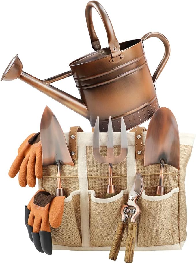 1 Gallon Galvanized Steel Watering Can with 3 Pcs of Garden Tools, 1 Pc of Pruning Shear, 1 Pair of Gardening Gloves,1 Pc of Garden Tools Organizer Tote