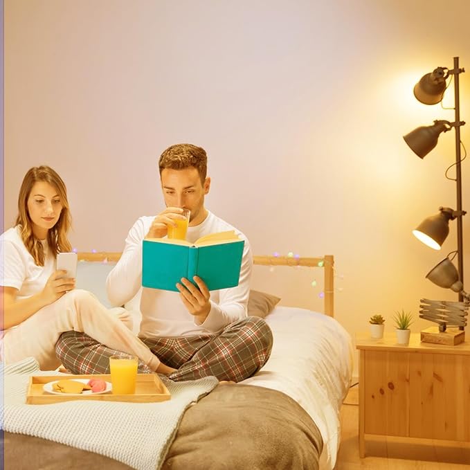 A19 24-Pack LED Light Bulbs, E26 Base 75W Equivalent 950lumens 2700K Warm Soft White Light, Non-Dimmable 9W 25000Hrs Indoor (A19 Count of 24)