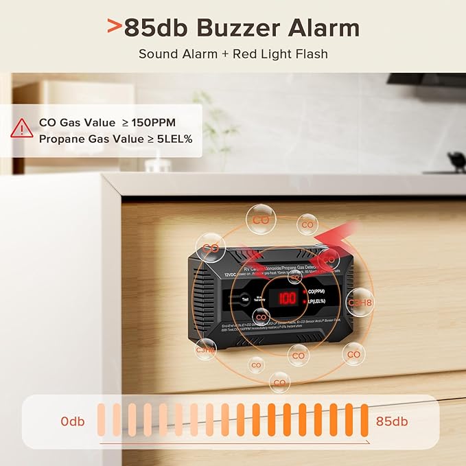 Nuleto RV Dual LP/CO Alarm,RV Carbon Monoxide & Propane Gas Detector with Separate LED Indicator Light, Early Warning to Ensure RV Camping Safety Travel (with 1 Bracket), Black