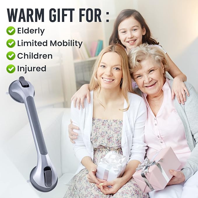 TAILI Shower Grab Bar 2 Pack 16 Inch Suction Grab Bars for Bathtubs & Showers, Heavy Duty Shower Handle Removable Shower Handrails for Elderly and Seniors, No Drilling Waterproof, Silver