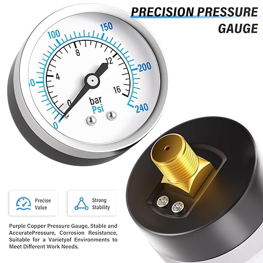 TAILONZ PNEUMATIC 3/4 Inch NPT 0-240 PSI Industrial Grade 4 Stage Air Drying System, Double Particulate Filter, Coalescing Filte,Desiccant Dryer and Air Regulator (Automatic Drainage)