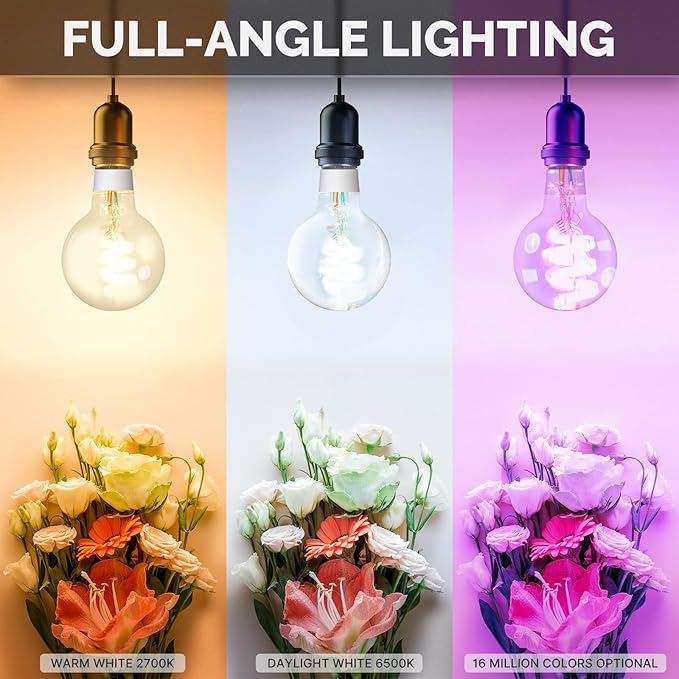 MOES Smart G80 Edison LED Light Bulbs, Color Changing WiFi G25 Smart Bulbs, 2700K-6500K CW& RGB Dimmable, Smart Life Remote Control, Work with Alexa/Google Home, 450lm 5W (50W Equivalent) 2 Pack