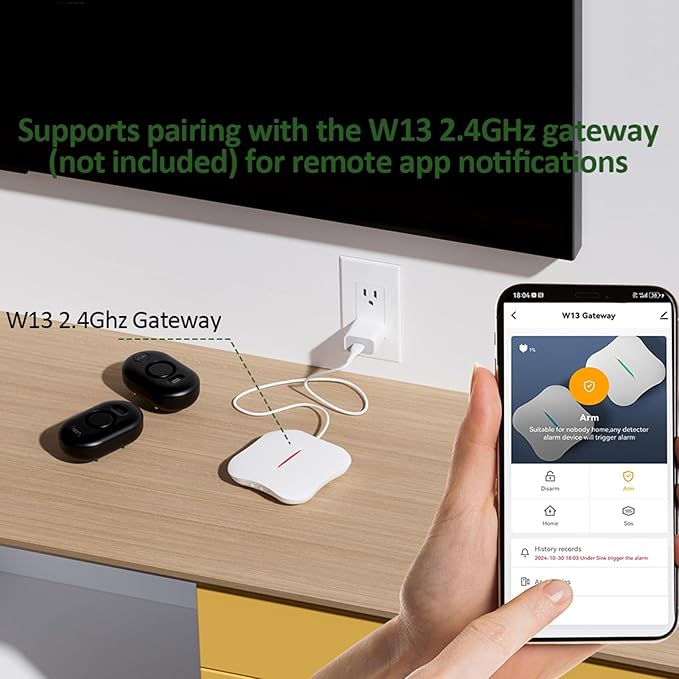 Water Leak Detector for Home, 100dB Water Sensor Alarm for Basement, Leakage Detection Device for Under Sink/Pipe/Drain Drip, Floor Flood in Bathroom/Kitchen/Toilet/Laundry Room, Model: WD61, Black