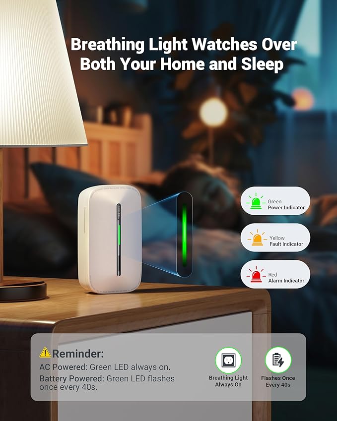 Ecoey Carbon Monoxide Detectors Plug-in with Advanced Electrochemical Sensor 10 Year Carbon Monoxide Detector Foldable Plug with Battery Backup CO Detector for Home and Kitchen FJ146A, 2Packs