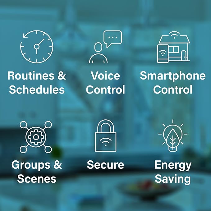 Legrand Wi-Fi Outdoor Dual Output Matter Smart Plug, Effortless Setup, Enhanced Compatibility with Apple HomeKit, Google Home, Alexa & SmartThings, Matter Smart Home, Pack of 1 WWMP31