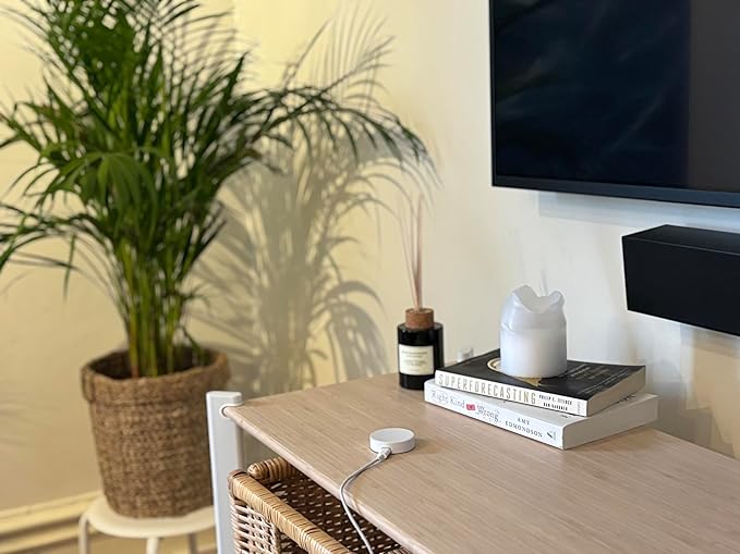 Hub Mini | Smart Home Hub | Controls Matter, Alexa, SmartThings, Philips Hue, Nanoleaf, Govee... Compatible Devices Through Flic Button or Flic Twist