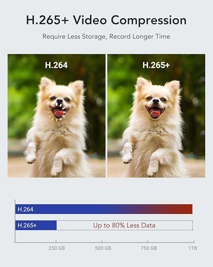 ANNKE 1080P Lite H.265+ 16CH Security Camera System, 5 in 1 Surveillance DVR and 16Pcs 1080 Outdoor Cameras, IP67 Waterproof, 2TB HDD, Smart Dual Light, View Remotely, Motion Detection