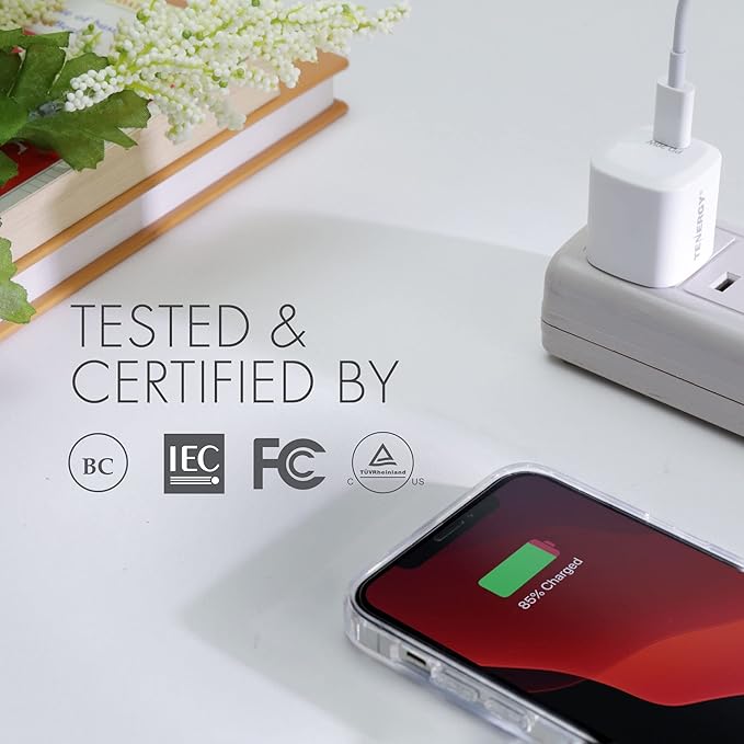 Tenergy USB-C Charger with PD 20W, Fast Charging iPhone 12/12 Mini / 12 Pro Max / 11, Galaxy, Pixel 4/3, iPad Pro (Cable not Included)