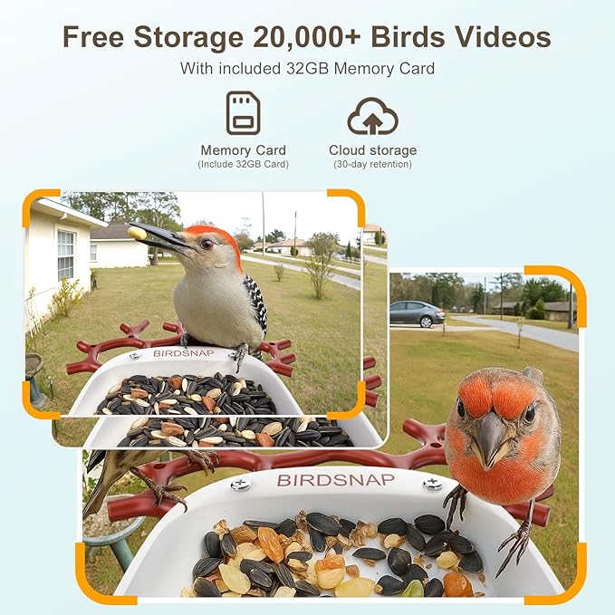 birdsnap® P33 - Bird Feeder with Camera Solar Powered, 2K Video Bird Camera Feeder Live with 32GB Card, AI Identify Feather Species, Auto Record in Backyard, for Birds Lover