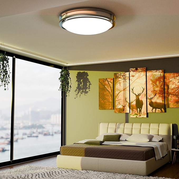 10-Inch Double Ring Dimmable LED Flush Mount Ceiling Light, 16W (95W Equivalent), 1120lm, 2700K Warm White, Brushed Nickel Finish Steel, ETL Listed, Commercial or Residential 2 Pack