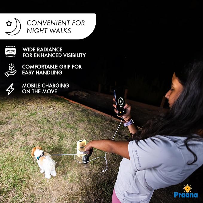 PRAANA Portable Solar Power Bank & Flashlight with 7W Panel – 3in1 Survival Kit | 5000mAh USB-C Charger & 800-Lumen Light | Must-Have Power Backup for Home, Power Outages & Camping | iPhone & Android