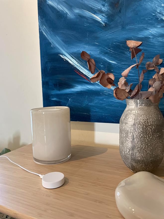 Hub Mini | Smart Home Hub | Controls Matter, Alexa, SmartThings, Philips Hue, Nanoleaf, Govee... Compatible Devices Through Flic Button or Flic Twist