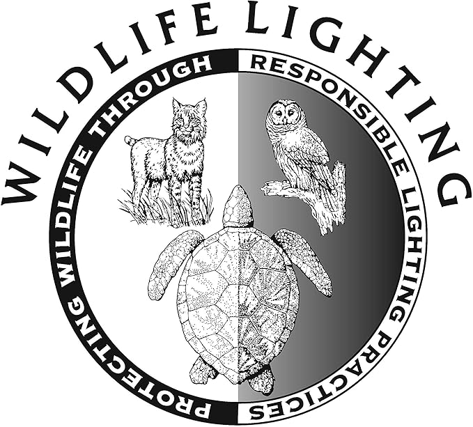 Sunlite 80148 LED A19 Colored Light Bulb, 3 Watts (25w Equivalent), E26 Medium Base, Non-Dimmable, UL Listed, Party Decoration, Holiday Lighting, 1 Count, Red (Pack of 2)