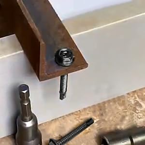 410 Stainless Steel #8Self Tapping Screws Assortment Kit 410PCS,Self Drilling Modified Truss Head & Hex Washer Head Sheet Metal TEK Screws 1/2" to 1-1/4'' (1, Black, Hex Head & Truss Head 410 pcs)