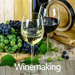 Digital Temperature Controller 2-Stage Thermostat Outlet Heating & Cooling Mode for Chest Freezer Refrigerator Homebrew Fermenter Greenhouse 110V 10A 1100W