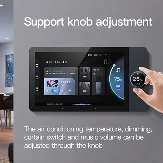 Smart Home Control Panel,10 inch Dimmer and Background Music Player,Smart Life Tuya App Control Timer Switch for Smart Appliances,Support Video Doorbell Two-Way Intercom