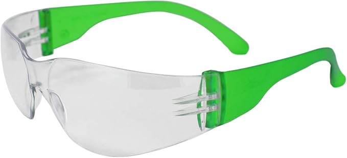 BISON LIFE Clear Lens Green Temple Safety Glasses BULK Case Pack 24 Pairs | ANSI Z87, Impact & Scratch Resistant, Clear Safety Glasses for Men and for Women, One Size, Adult, Youth