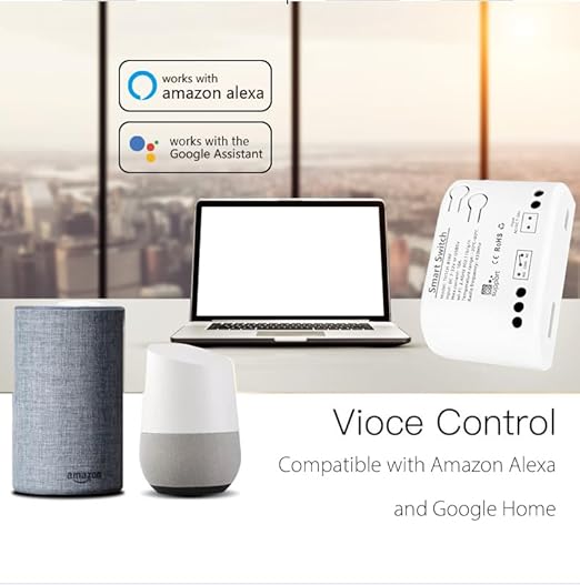 WiFi Wireless Temperature Controller,ewelink app Remote Dry Contact Smart Relay,Compatible with Alexa Google Assistant