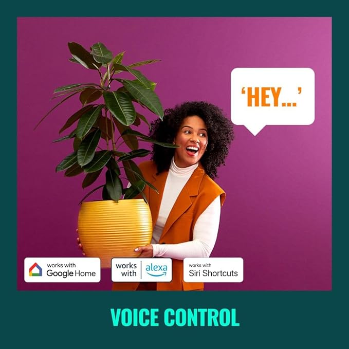 WiZ Clear 60W ST19 Tunable White Filament LED Smart Bulb - Pack of 6 - E26- Indoor - Connects to Your Existing Wi-Fi - Control with Voice or App + Activate with Motion - Matter Compatible