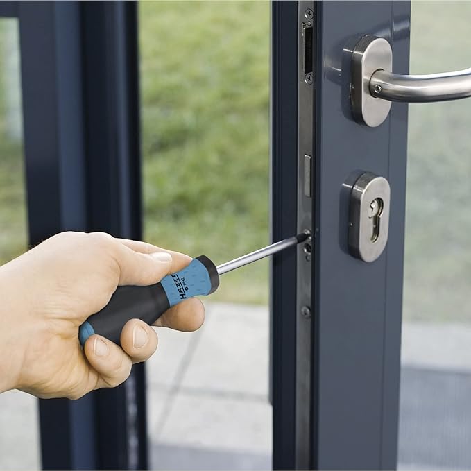 HAZET Screwdriver Set 810SPC/6 I 6-Piece Set with Non-Slip 3-Component Handle for High Force Transmission I Matt Chrome-Plated Surface, 4x Slotted Profile, 2x Phillips Profile