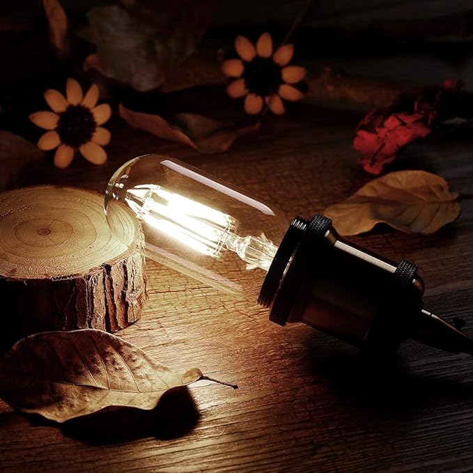 Dimmable LED Tubular Bulb 6W,60W Equivalent 600 Lumens, Antique Edison Style LED Filament Light Bulbs, E26 Clear Edison Bulb Daylight 2700K Pack of 6