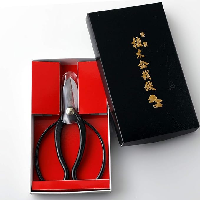 Wazakura Made in Japan Ikebana Tool Kit - Koryu Scissors + Brass Kenzan Flower Holder, Japanese Floral Arrangement Set, Florist Shears and Pin Frog Gift Box Set - Koryu+Brass Kenzan 3-1/4" (80mm)