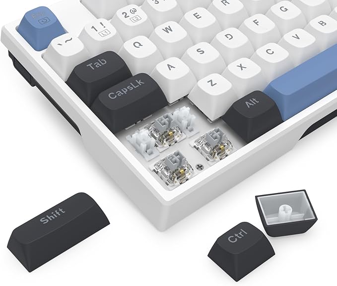 Redragon K668 Wired Gasket RGB Gaming Keyboard, 108 Keys Mechanical Keyboard w/Extra 4 Hotkeys, Upgraded Hot-swappable Socket, Sound Absorbing Foam, Mixed Color Keycaps, Custom Linear Switch