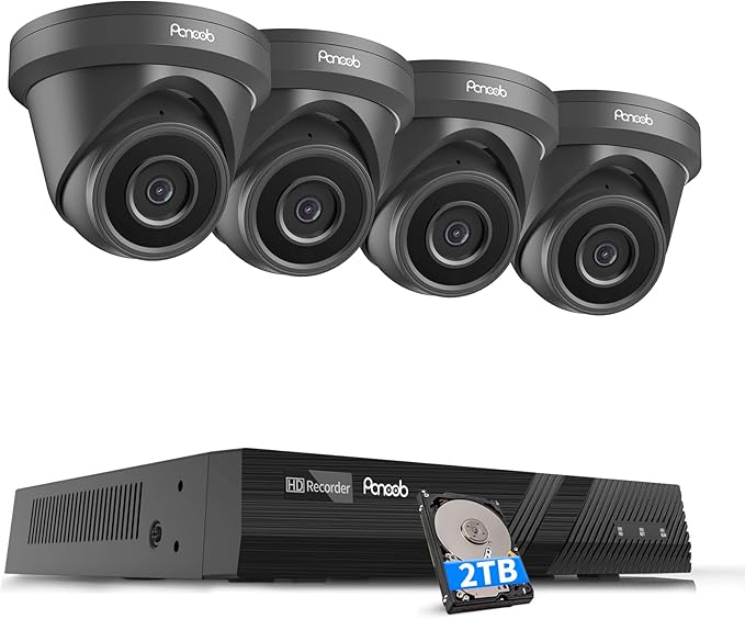 4 Camera Security System 5MP, 4X 5-Megapixel Wired IP Dome Turret Cameras Outdoor with AI Person Detection, Built-in Mic, Remote Access, 4K 8CH NVR 2TB HDD for 24-7 Recording, PD93A30408-5M