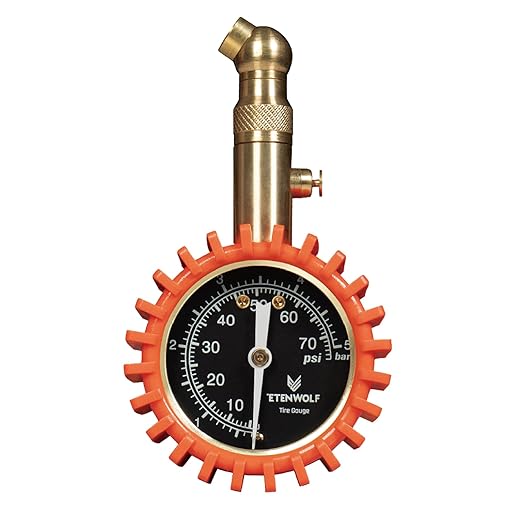 ETENWOLF Tire Pressure Gauge for Cars 0-75 PSI, Air Pressure Gauge with Large Glow Dial, Calibrated to ANSI B40.1 Grade A(Plus-Minus 1%), Tire Gauge for Tire Pressure Car Accessories (Vivid Orange)