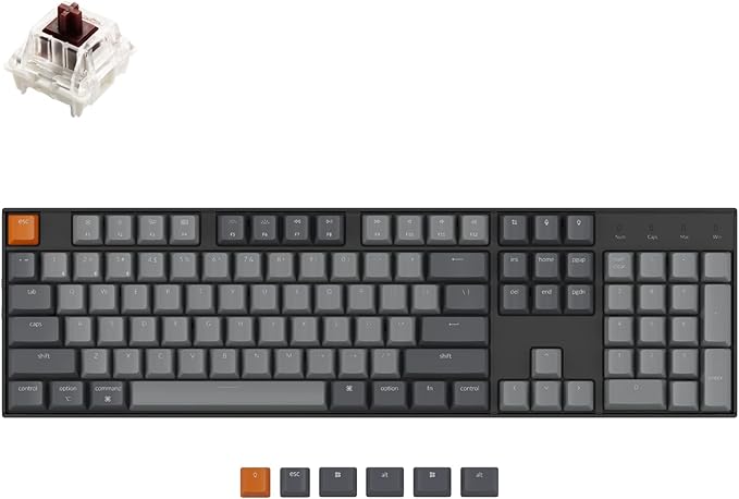 Keychron K10 Full Size Layout RGB Backlit Hot-Swappable Mechanical Gaming Keyboard for Mac Windows, Multitasking 104-Key Bluetooth Wireless/USB Wired Computer Keyboard with K Pro Brown Switch