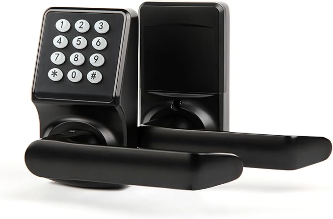 BAOLONG Electronic Door Lock with Handle,Matte Black