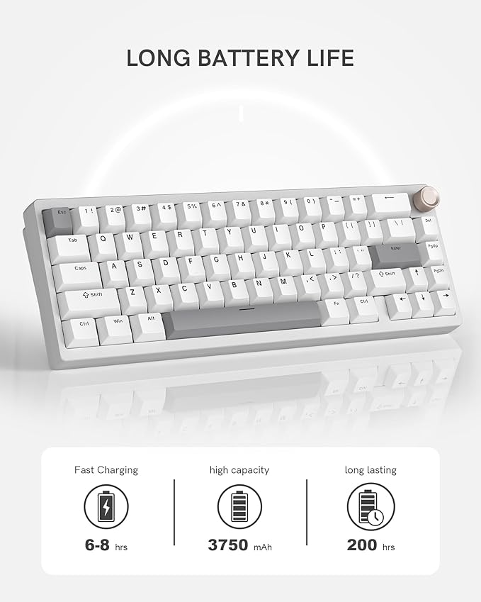 Womier SK65 Wireless Mechanical Gaming Keyboard with Knob, 60 Percent Aluminium Keyboard for PC, Bluetooth 5.0/2.4GHz/USB-C Wired, Hot Swappable Custom Lineaner Switch, RGB Backlit (Silver V2)