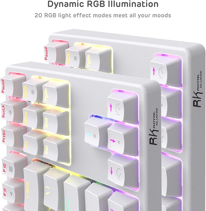 RK ROYAL KLUDGE Sink87G Wired/Wireless TKL Mechanical Gaming Keyboard, No Numbpad Compact 2.4G RGB Wireless Keyboard (White)