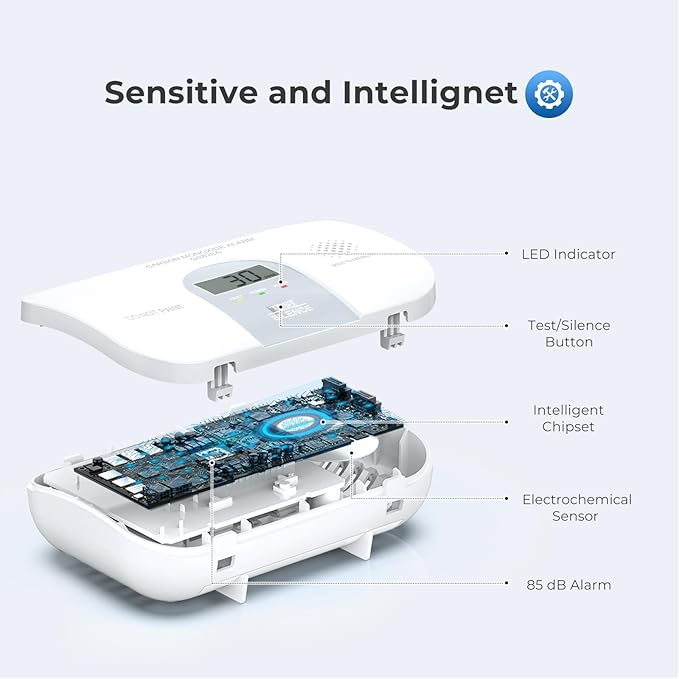 Siterwell Carbon Monoxide Detectors, 10 Year Product Life Portable Carbon Monoxide Detector with LCD Digital Display and Sound Warning, ETL Listed, Travel Carbon Monoxide Detector for Home, 2-Pack