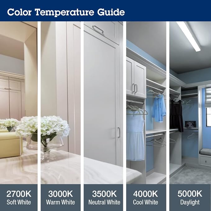 Lithonia Lighting 7.5" Mini LED Wall Pack Outdoor Light Fixture, Building Wall Light, Dusk to Dawn Sensor, 4000K Cool White, MVOLT 120-277V, IP65, Glass Lens, Bronze (TWX1 LED P2 40K MVOLT PE DDBTXD)