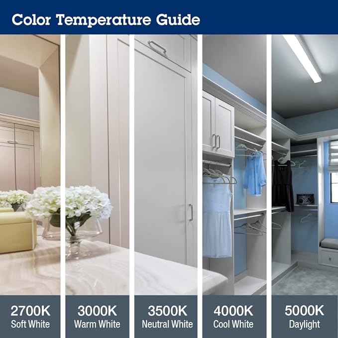 Lithonia Lighting 18" LED Wall Pack Outdoor Light Fixture, Building Wall Light, Adjustable Lumens, 5000K Daylight, MVOLT 120-277V, IP65, Glass Lens, Bronze (TWX3 LED ALO 50K MVOLT DDBTXD)