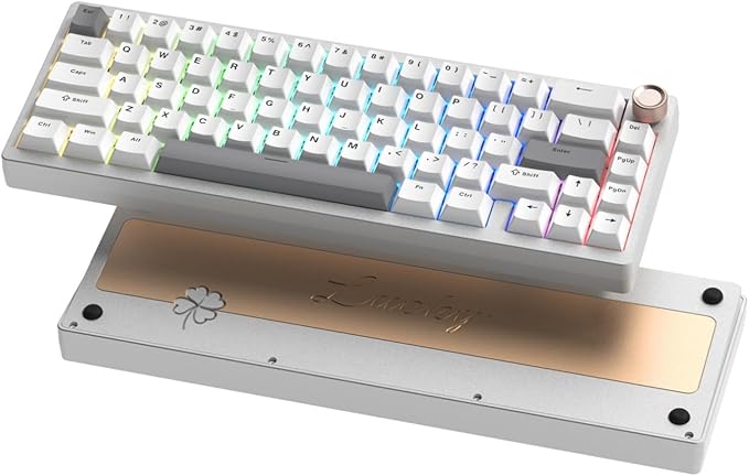 Womier SK65 Wireless Mechanical Gaming Keyboard with Knob, 60 Percent Aluminium Keyboard for PC, Bluetooth 5.0/2.4GHz/USB-C Wired, Hot Swappable Custom Lineaner Switch, RGB Backlit (Silver V2)