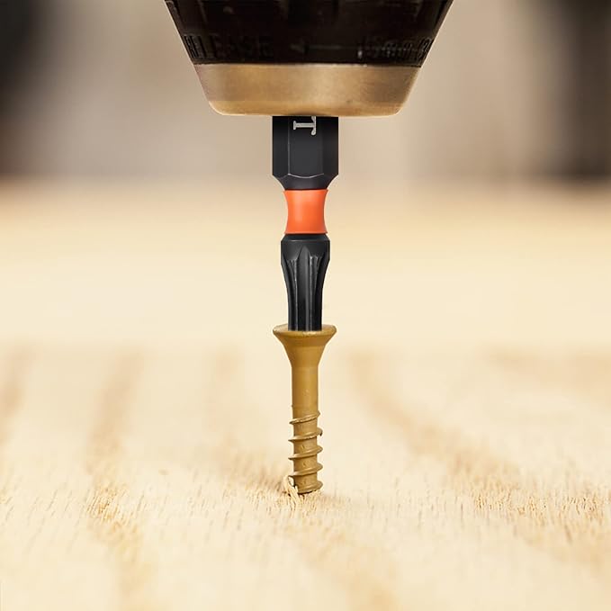 Pro T20 Bit Assortment - Screwdriver Bits Set 20Pcs, 25mm Length, Torx Screwdriver Bit, 1/4 Inch Hex Shank, with Storage Box