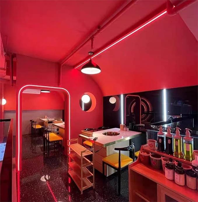 iNextStation 12V Red LED Strip Lights 16.4FT, Flexible Silicone Neon Rope Light, Waterproof, Cuttable, Dimmable & Linkable, for Cabinet, Ceiling, Wall, Bedroom, Kitchen, Garage (No Adapter)