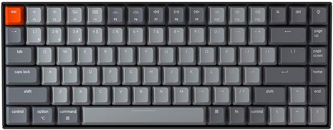 Keychron K2 75% Layout RGB Bluetooth Wireless Mechanical Keyboard with Gateron G Pro Red Switch/Anti Ghosting/N-Key Rollover, Compact 84 Keys USB Wired Gaming Keyboard for Mac Windows-Version 2