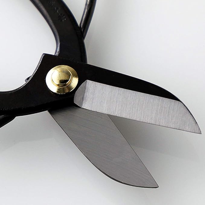 Wazakura Made in Japan Ikebana Tool Kit - Koryu Scissors + Black Kenzan Flower Holder, Japanese Floral Arrangement Set, Florist Shears and Pin Frog Gift Box Set - Koryu and Black Kenzan 2.4" (61mm)