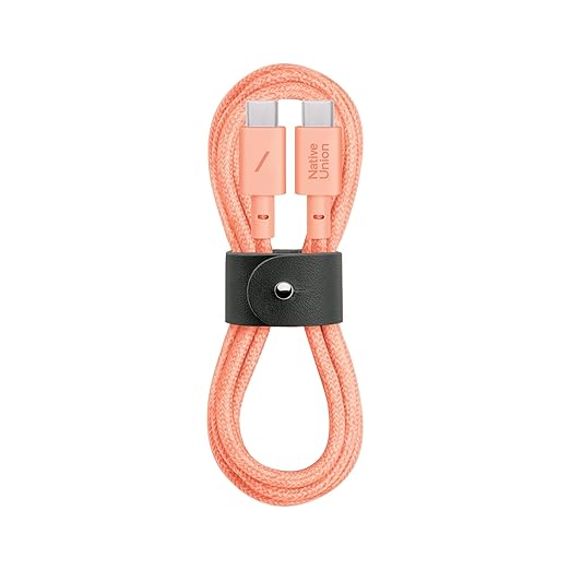Native Union Type-C Belt Cable - USB-C to USB-C 4ft Ultra-Strong Charging Cable Compatible with iPhone 16, 16 Plus, 16 Pro, 16 Pro Max, iPad Pro, iPad Air, Galaxy S25, Flip 6, Fold 6 (Apricot)