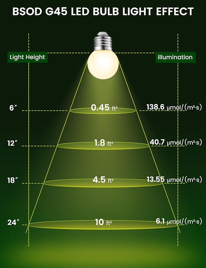 Full Spectrum Light Bulb, LED Light Bulb G45 Small Lightbulbs E26 White 5W Eq 40W Sunlight Night Appliance Bulb for Home, Growing, Plant, Freezer, Lamp (1 Natural White Bulb)
