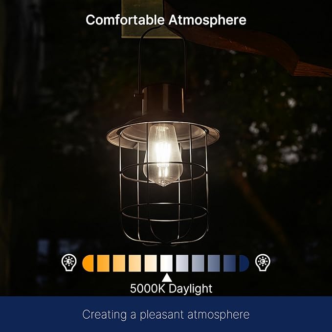 FLSNT Dusk to Dawn Outdoor Sensor ST19 LED Edison Bulb, 5000K Daylight, 7W (60W Eqv.), 800LM,Vintage Filament E26 Base, Auto On/Off Photocell Automatic for Energy-Efficient Outdoor Lighting, 4 Pack